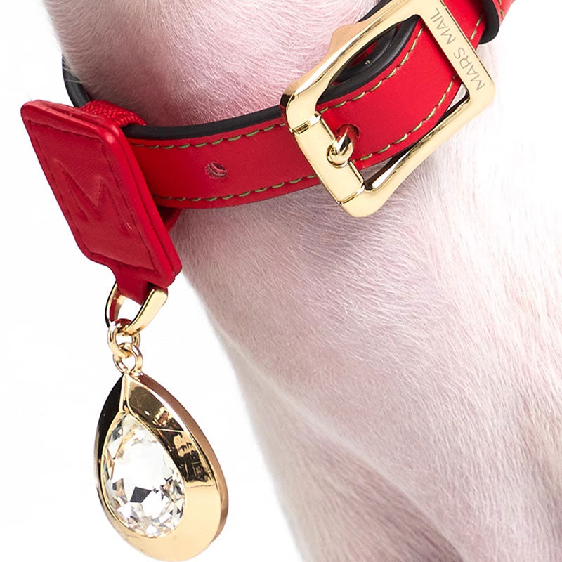Luxury Pet Gemstone Accessories Dog Collar