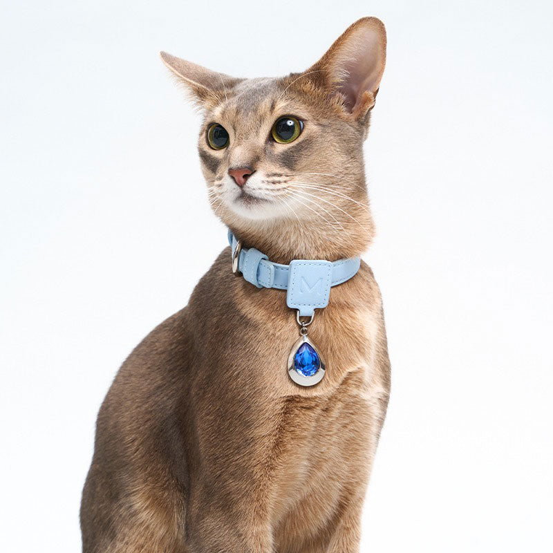 Luxury Pet Gemstone Accessories Dog Collar