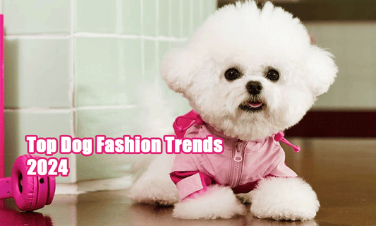 Top Trends in Dog Fashion for 2024: What’s Hot This Season?