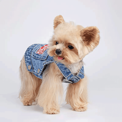 City Picnic Small Dog Thin Denim Vest