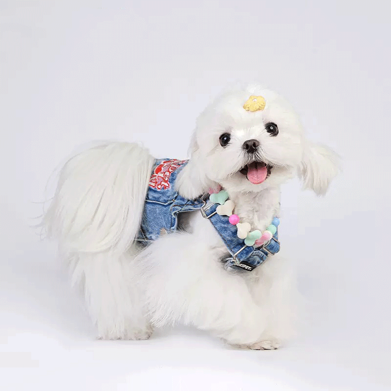 City Picnic Small Dog Thin Denim Vest