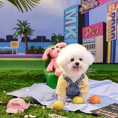 City Picnic Small Dog Thin Denim Vest