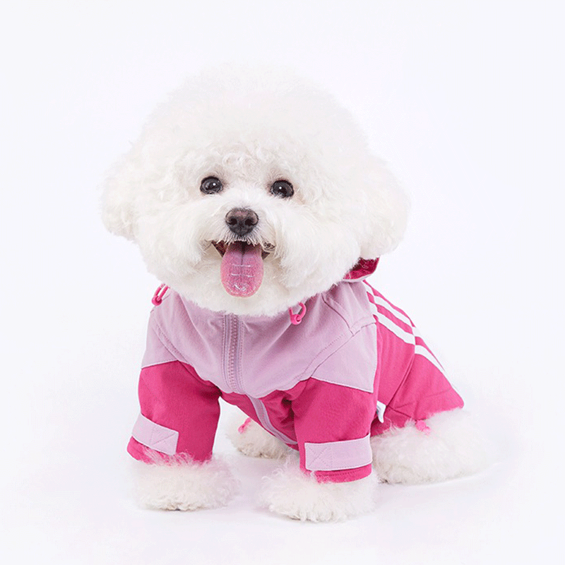 Honey Rose Hoodie Harness Coat