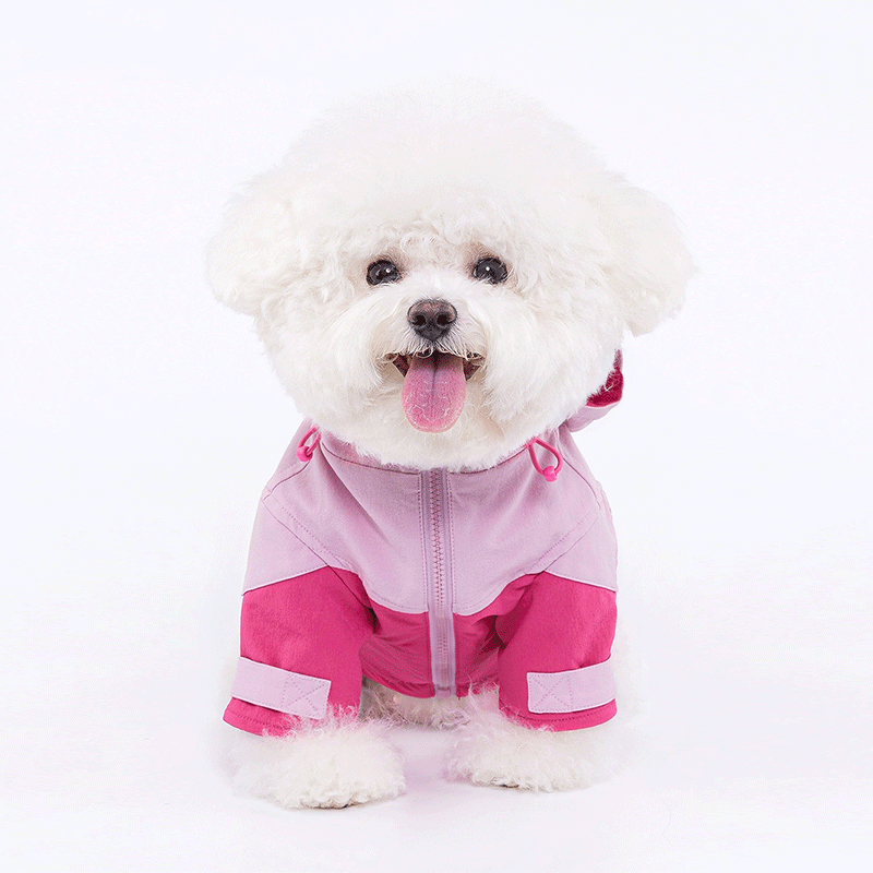 Honey Rose Hoodie Harness Coat