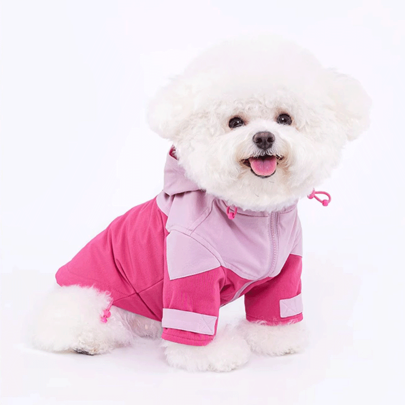 Honey Rose Hoodie Harness Coat