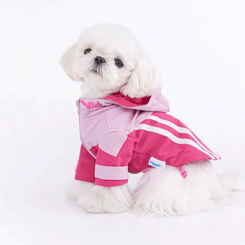 Honey Rose Hoodie Harness Coat