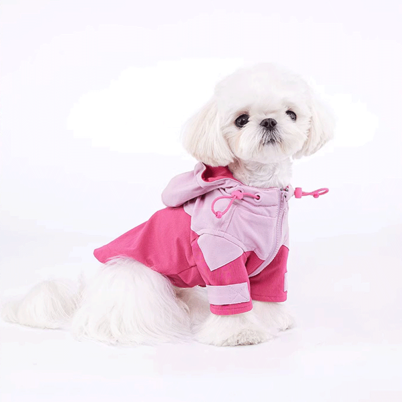 Honey Rose Hoodie Harness Coat