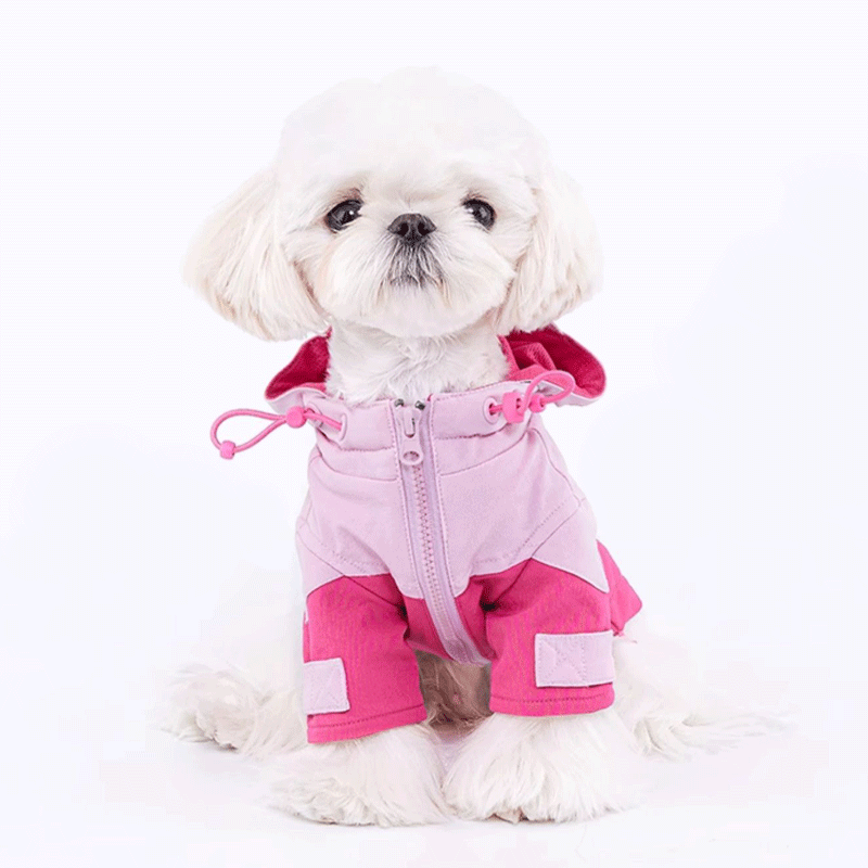 Honey Rose Hoodie Harness Coat