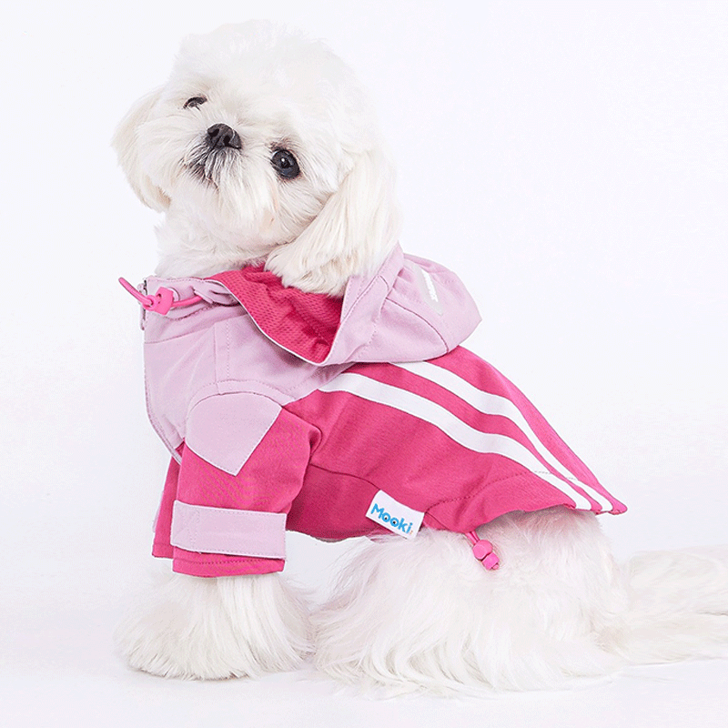 Honey Rose Hoodie Harness Coat