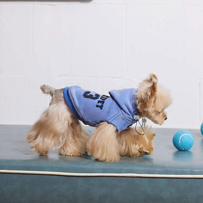 College Tie Hoodie Blue Dog Sweatshirt