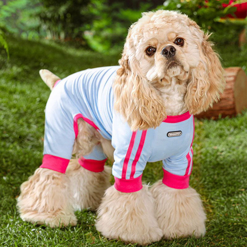 Cool Summer Dog Four Legged Clothes