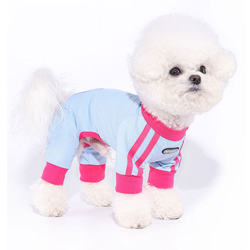 Cool Summer Dog Four Legged Clothes