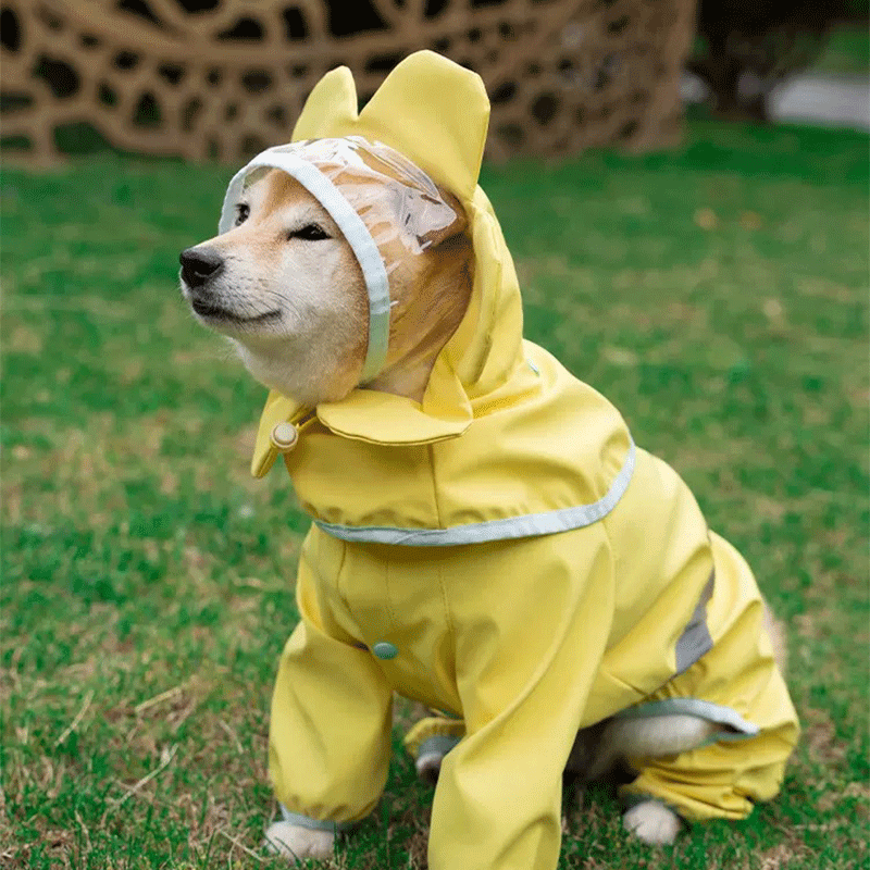 Cute Flower Dog Full Wrap Raincoat