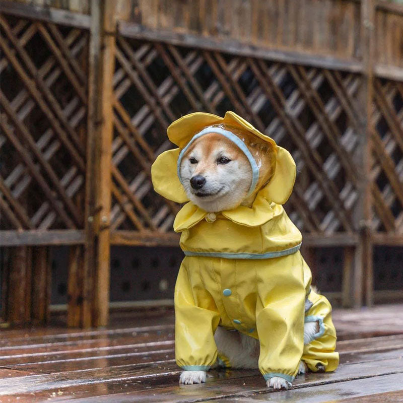 Cute Flower Dog Full Wrap Raincoat