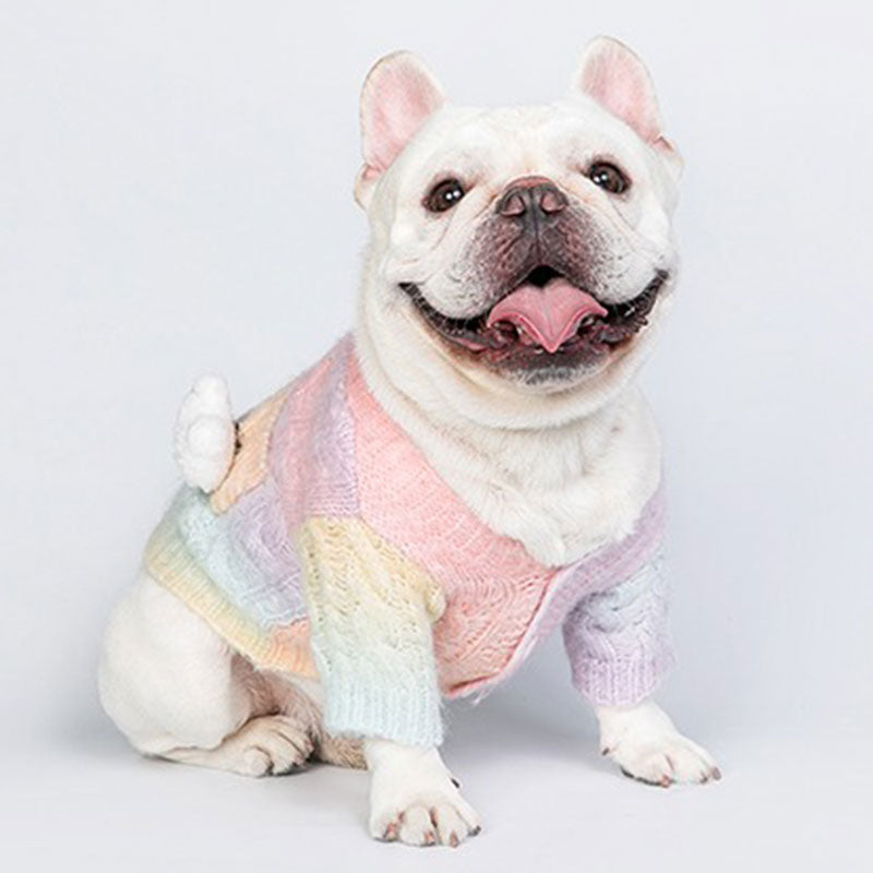 Cute Gradient Dog Sweater Coat