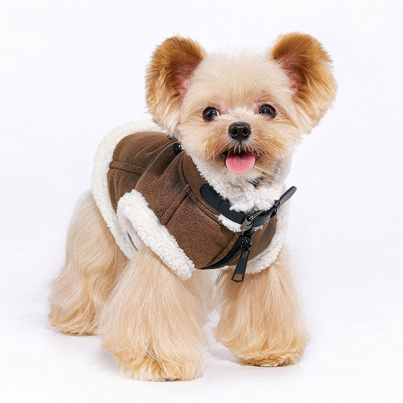 Dapper Suede Dog Vest Jacket