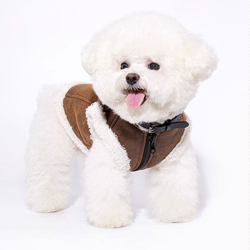 Dapper Suede Dog Vest Jacket