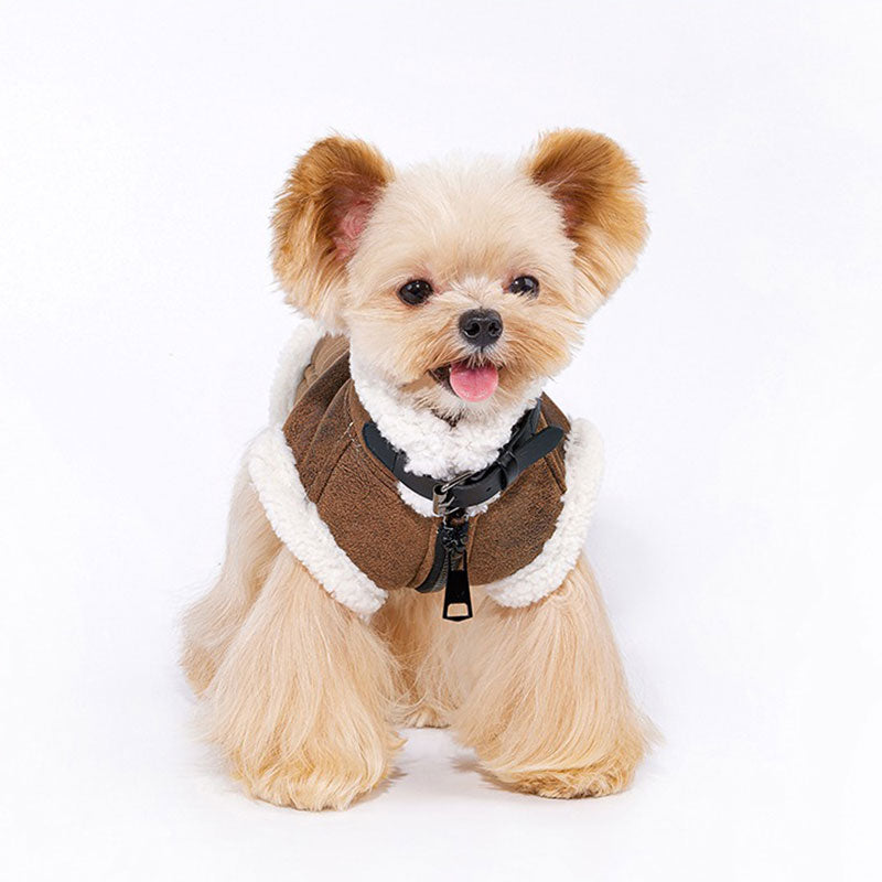 Dapper Suede Dog Vest Jacket