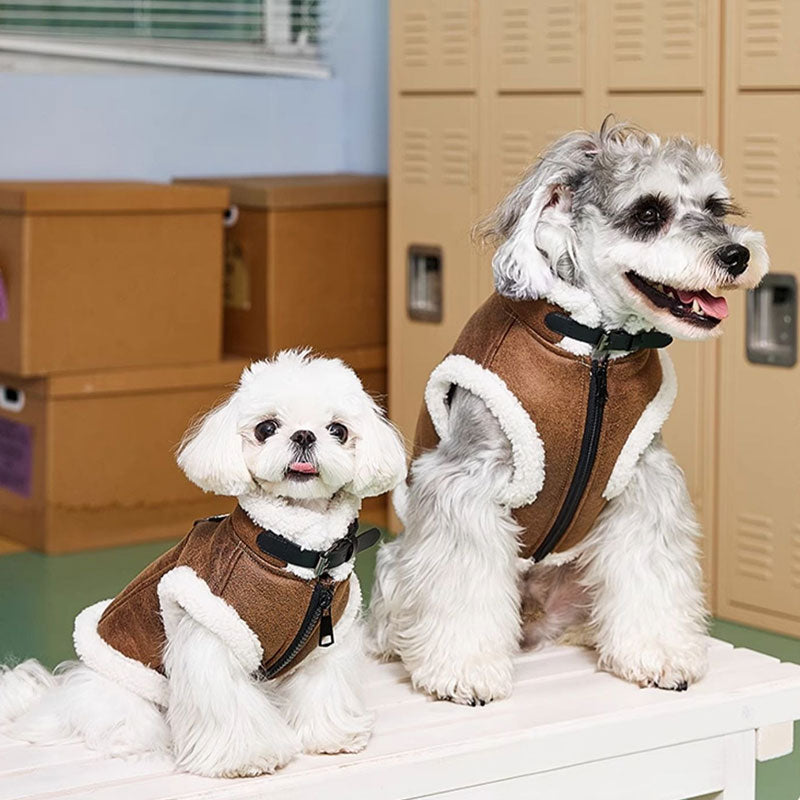 Dapper Suede Dog Vest Jacket