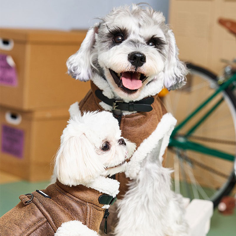 Dapper Suede Dog Vest Jacket