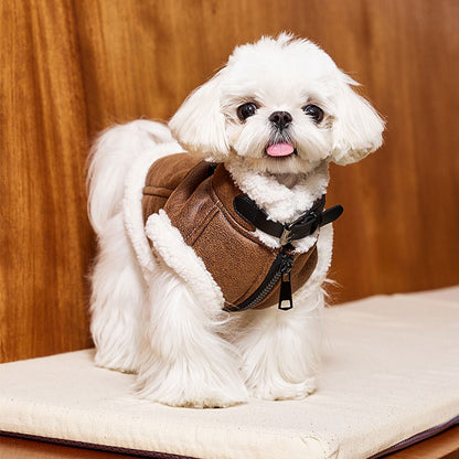 Dapper Suede Dog Vest Jacket