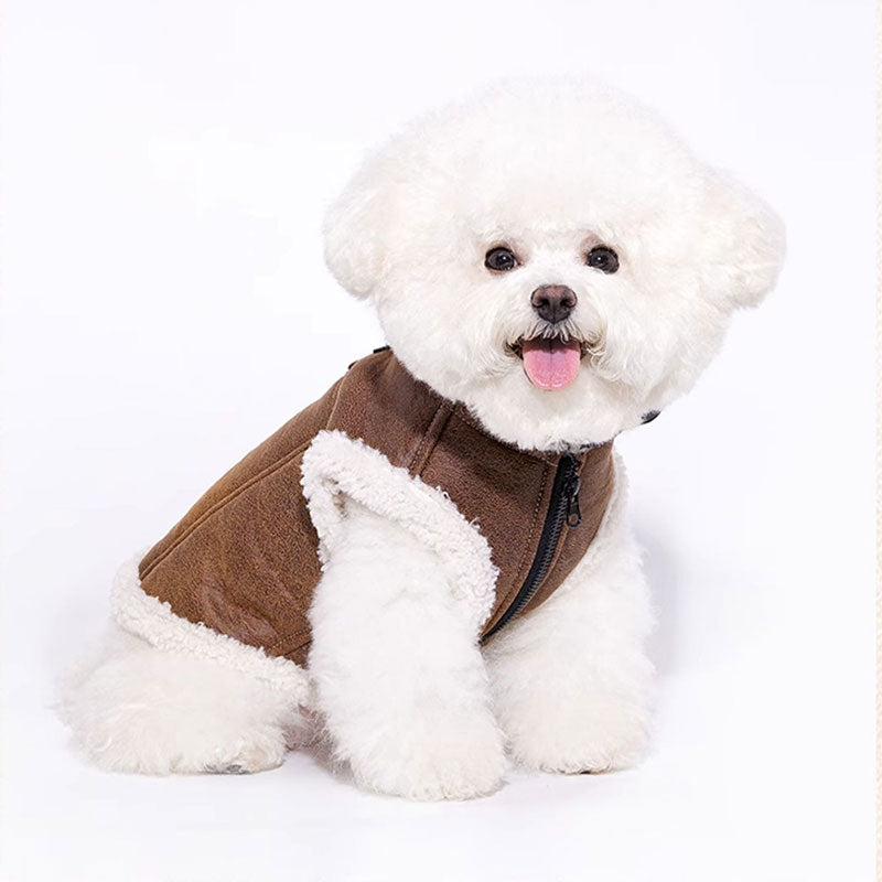 Dapper Suede Dog Vest Jacket