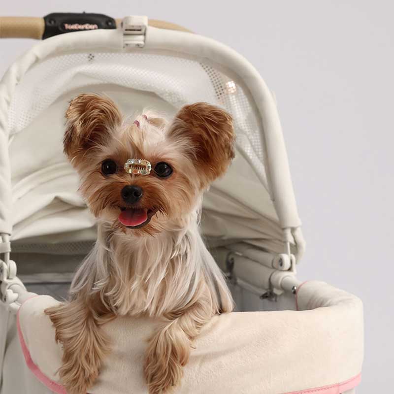 Elegant Bow All-in-One Dog Stroller Pram