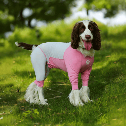 Fresh Patchwork Cool 4 Color Dog Pajamas
