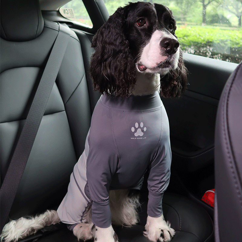 Fresh Patchwork Cool 4 Color Dog Pajamas