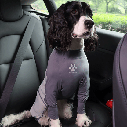 Fresh Patchwork Cool 4 Color Dog Pajamas