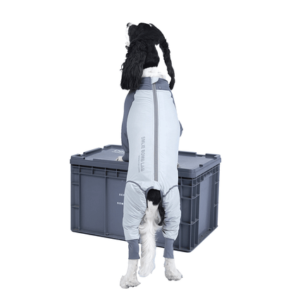 Fresh Patchwork Cool 4 Color Dog Pajamas