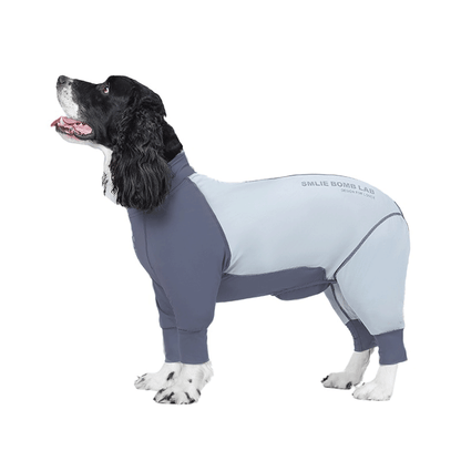Fresh Patchwork Cool 4 Color Dog Pajamas