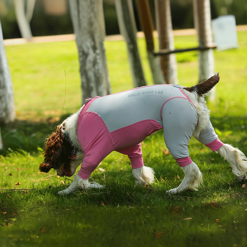 Fresh Patchwork Cool 4 Color Dog Pajamas
