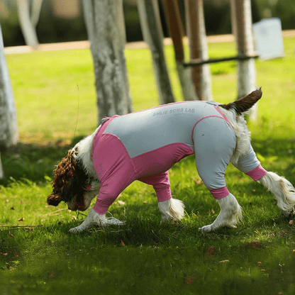 Fresh Patchwork Cool 4 Color Dog Pajamas