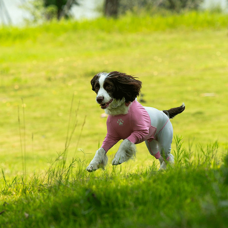 Fresh Patchwork Cool 4 Color Dog Pajamas