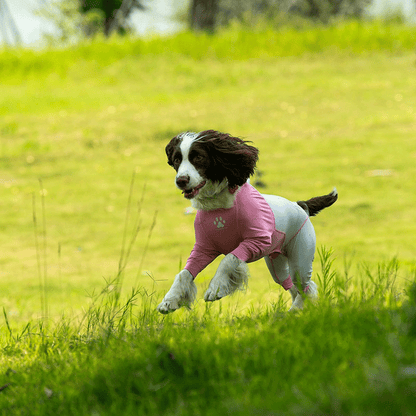 Fresh Patchwork Cool 4 Color Dog Pajamas