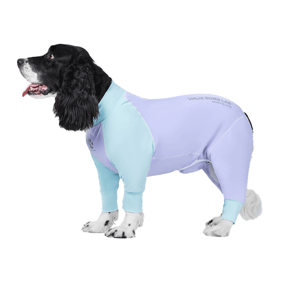 Fresh Patchwork Cool 4 Color Dog Pajamas