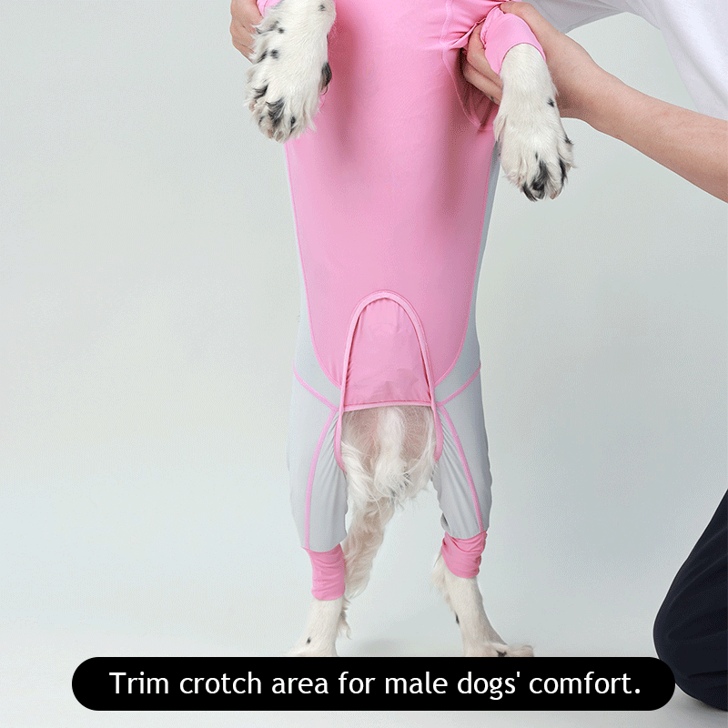 Fresh Patchwork Cool 4 Color Dog Pajamas