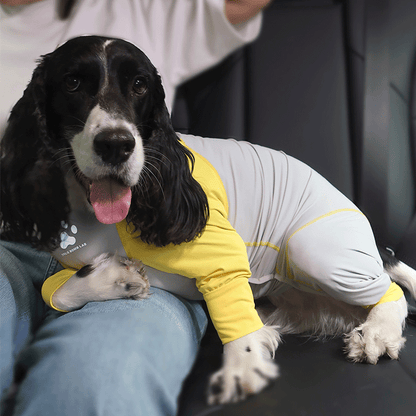 Fresh Patchwork Cool 4 Color Dog Pajamas