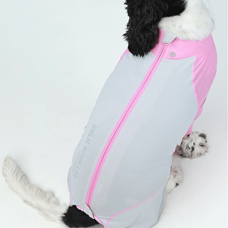 Fresh Patchwork Cool 4 Color Dog Pajamas