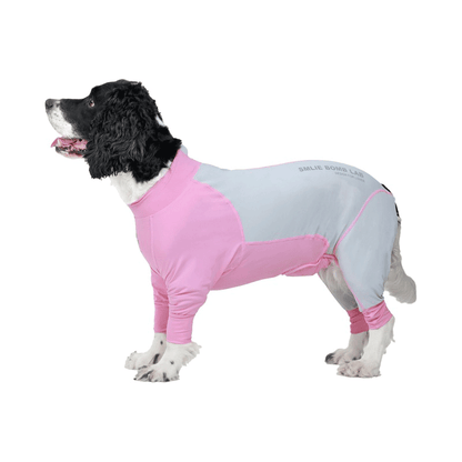 Fresh Patchwork Cool 4 Color Dog Pajamas