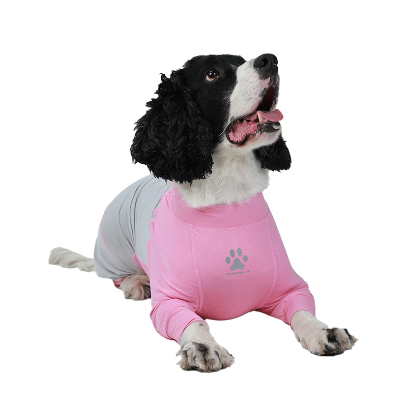 Fresh Patchwork Cool 4 Color Dog Pajamas