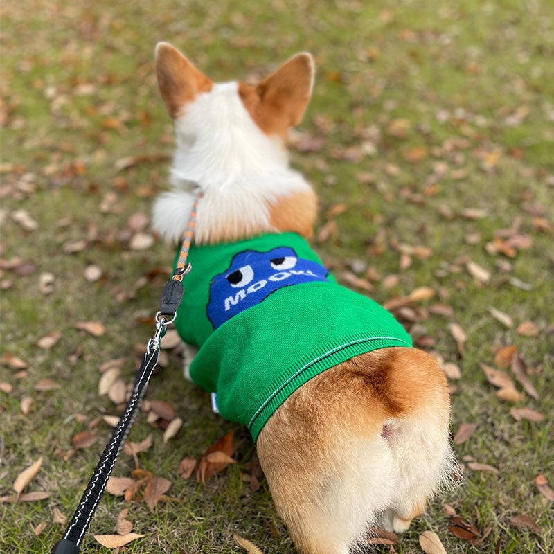 Graffiti Green Dog Sweater