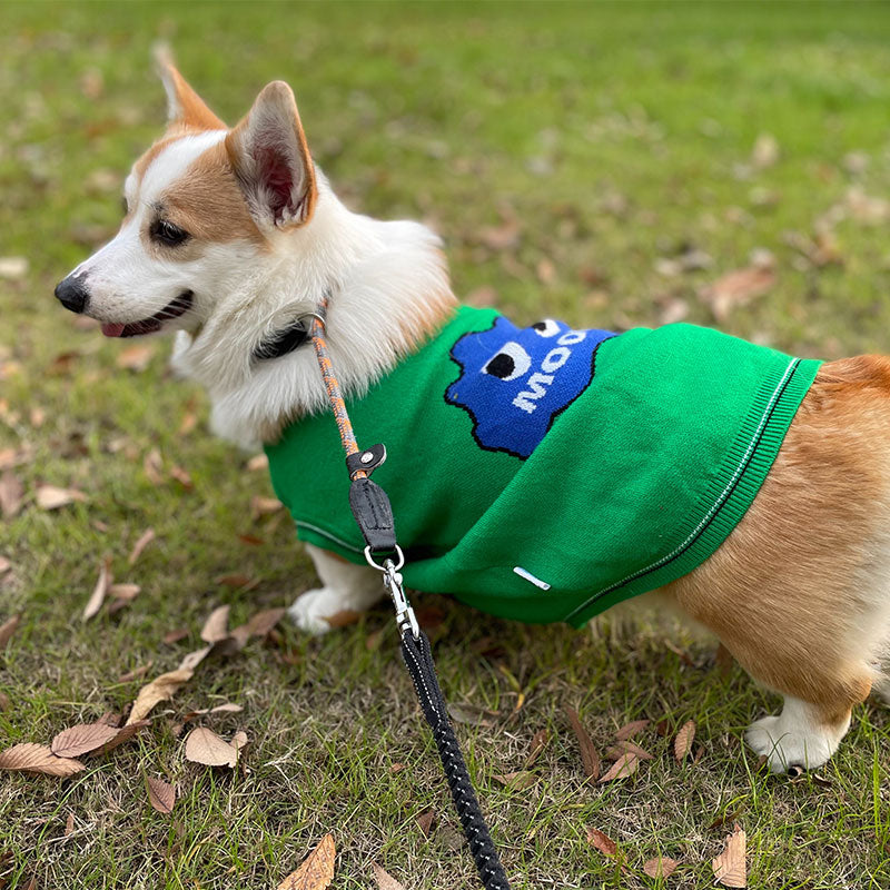 Graffiti Green Dog Sweater