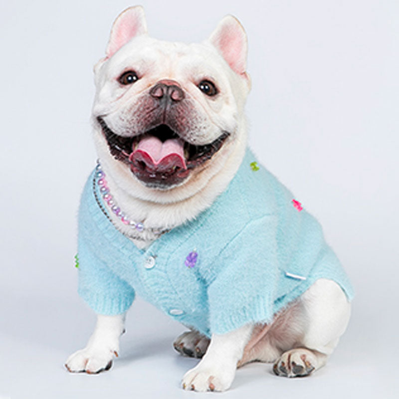 Jelly Bear Warm Dog Sweater