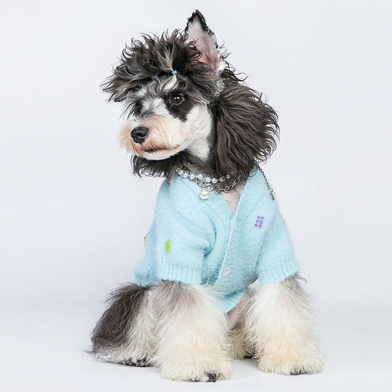 Jelly Bear Warm Dog Sweater