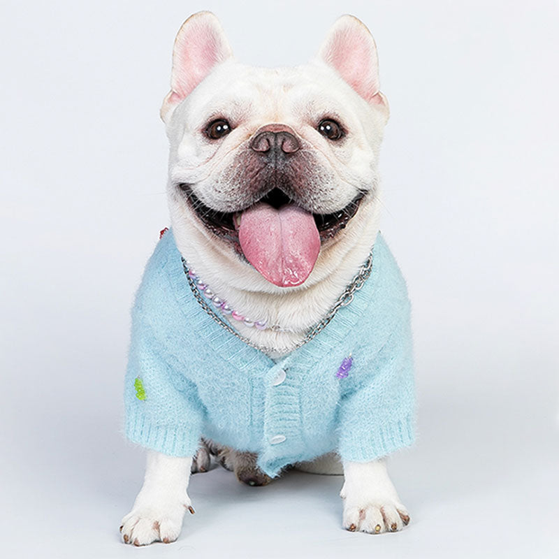 Jelly Bear Warm Dog Sweater