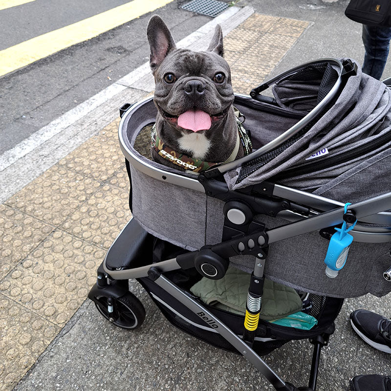 Large Shock-Absorbing Dog Stroller Grey