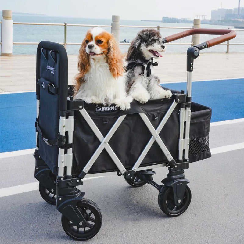 Outdoor Foldable Large Dog Stroller