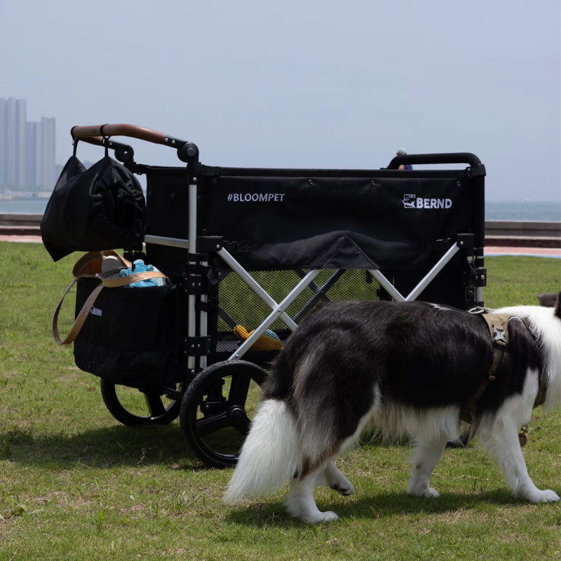 Outdoor Foldable Large Dog Stroller